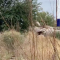Captura de Pantalla 2022-08-01 a la(s) 7.56.59