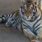 WhatsApp Image 2023-03-28 at 21.22.30