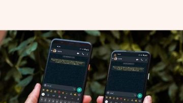342967614_880402299727242_3089031430851388415_n