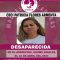 WhatsApp Image 2023-04-17 at 08.32.07