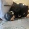 WhatsApp Image 2023-05-03 at 20.14.21