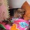 WhatsApp Image 2023-05-06 at 00.46.08