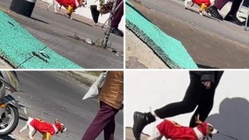 373692738_781729600302636_3745943694900323626_n