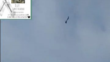 450120307_961182762357318_5664228161909866170_n (1)