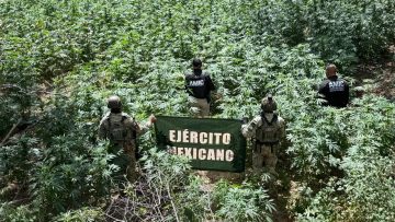 515491185_1269695354839389_4370744866165745682_n