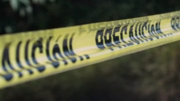 549019519_1277198964089028_8659465270713545987_n