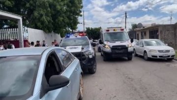 555417503_1282884976853760_7549707187346329060_n