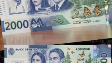 566215025_1305667617908829_3703822026192045312_n