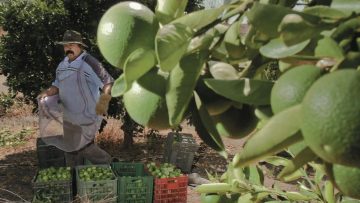 569365221_1306560814486176_7628486623680733177_n