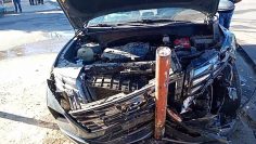 571203202_1313786723763585_4082618336000319884_n