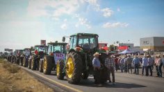 571409306_1312261787249412_5146307427481358721_n