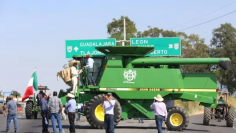 Captura de pantalla 2025-10-29 143333