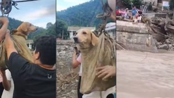 WhatsApp Image 2025-10-13 at 14.21.30