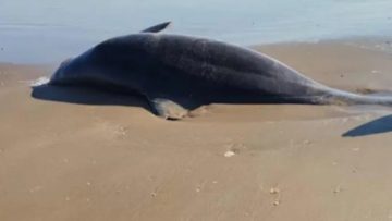 WhatsApp Image 2025-10-15 at 14.40.20