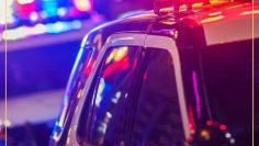 573636661_1313178717157719_5835815139114251097_n