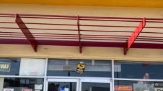 577017688_1318346716640919_3500558418679699890_n