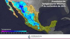 577184115_1165729519078337_1877758319334690223_n