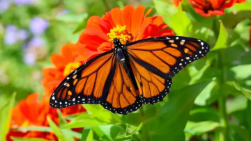 Captura de pantalla 2025-11-01 112504