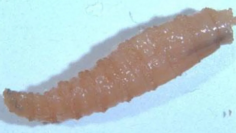 Captura de pantalla 2025-11-07 091016